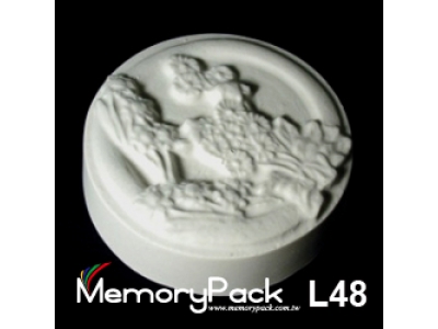 L48
